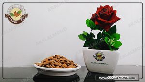 قیمت بادام محب سامان