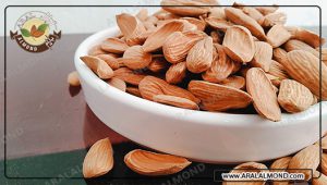 فروش بادام در ایران از طریق اینترنت