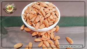 خرید بادام در ایران به صورت عمده