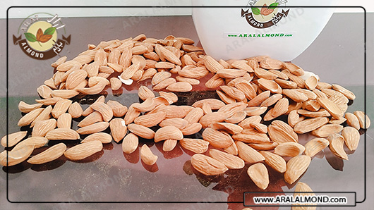 فروش بادام در ایران از طریق اینترنت