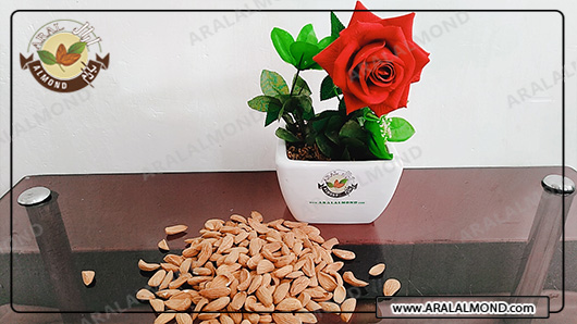 خرید اینترنتی بادام