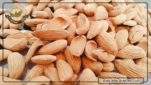 خرید اینترنتی بادام در ایران