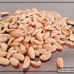 مرکز خرید اینترنتی بادام مامایی سامان