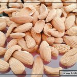 مرکز خرید بادام مامایی صادراتی