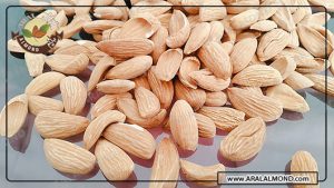 مرکز خرید بادام مامایی صادراتی