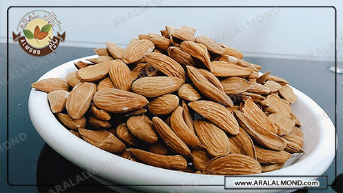 سفارش اینترنتی بادام در ایران