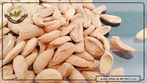 قیمت بادام درختی صادراتی ایران