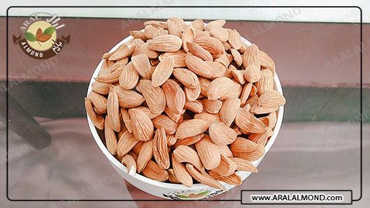 فروش اینترنتی بادام در ایران