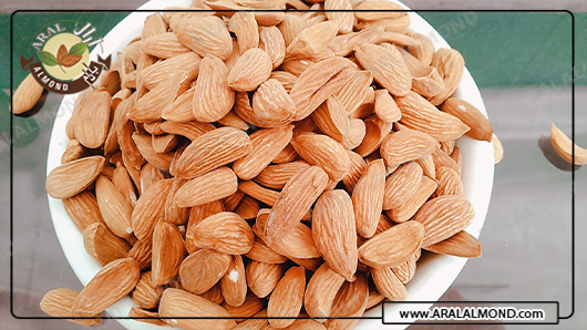 فروش اینترنتی بادام در ایران