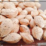 فروشنده معتبر بادام محب در ایران