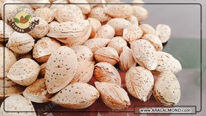 فروشنده معتبر بادام محب در ایران