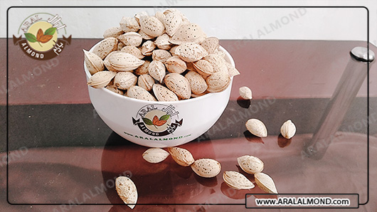 خرید اینترنتی مغز بادام سنگی