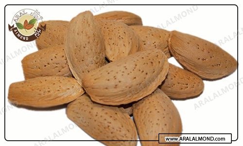 مرکز فروش اینترنتی بادام سنگی به صورت عمده