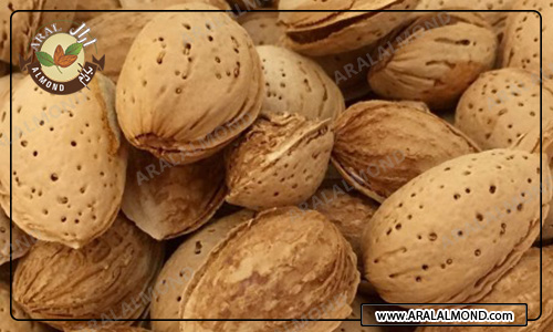 مرکز خرید و فروش بادام سنگی درجه یک