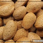 قیمت انواع بادام ایرانی درجه یک
