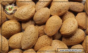 قیمت انواع بادام ایرانی درجه یک