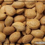قیمت خرید بادام سنگی صادراتی