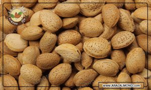 قیمت خرید بادام سنگی صادراتی
