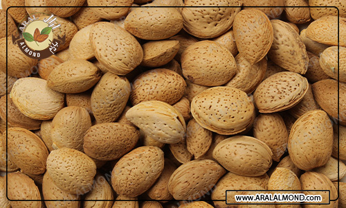 قیمت خرید بادام سنگی صادراتی