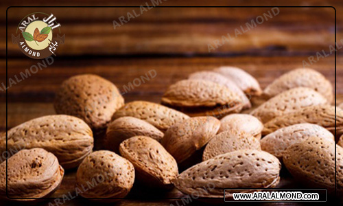 فروش عمده مغز بادام