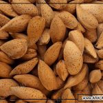 بازرگانی بادام درختی آرال آلموند