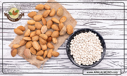 قیمت خرید بادام سنگی صادراتی