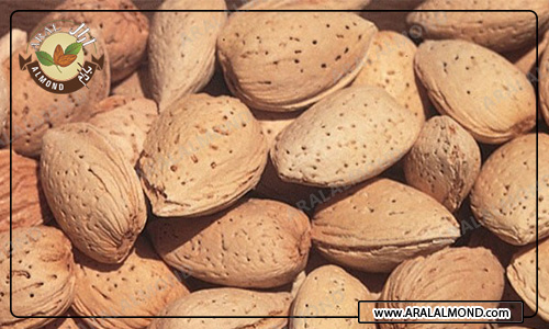 فروش عمده مغز بادام