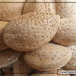 کالری بادام درختی و تاثیر آن در کاهش وزن