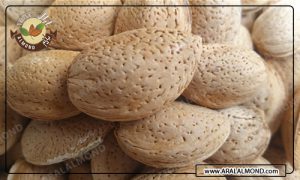 قیمت انبوه بادام درختی صادراتی