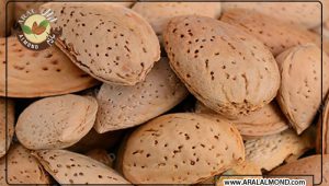 مرکز خرید بادام درختی ارزان