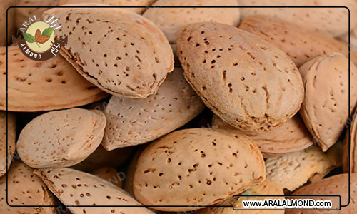 مرکز خرید بادام درختی ارزان