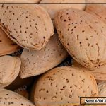 قیمت و خرید بادام ایرانی صادراتی ترکیه و هند