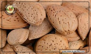 قیمت و خرید بادام ایرانی صادراتی ترکیه و هند