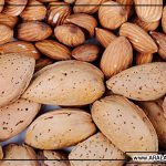 فواید مصرف بادام درختی یرانی در دوران بارداری