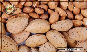 فواید مصرف بادام درختی یرانی در دوران بارداری