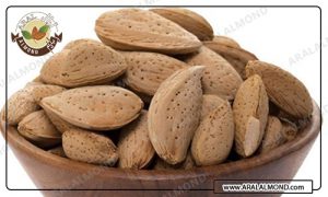 تجارت بادام درختی صادراتی با قیمت مناسب