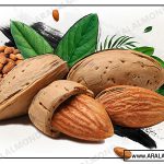 قیمت خرید بادام درختی تازه ایرانی با پوست