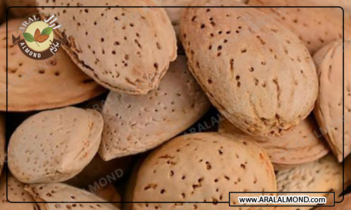 فروش بادام درختی ارزان و با کیفیت