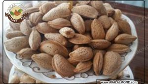 صادرات بادام درختی ارزان و درجه یک
