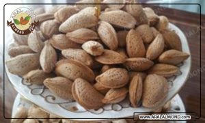 صادرات بادام درختی ارزان و درجه یک