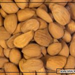مرکز خرید و فروش بادام سنگی درجه یک