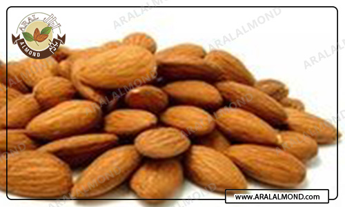 فروش مغز بادام سنگی با قیمت مناسب در آرال آلموند