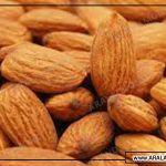 قیمت بادام درختی سامان شهرکرد صادراتی