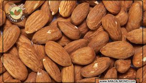 سایت سفارش مغز بادام مامایی با کیفیت