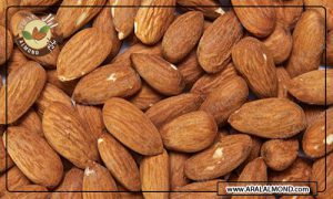 سایت سفارش مغز بادام مامایی با کیفیت