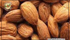 خرید عمده بادام درختی سامان