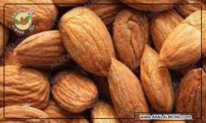 خرید عمده بادام درختی سامان