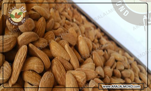 مرکز سفارش بادام ایرانی