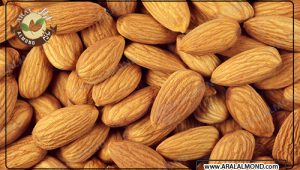 قیمت فروش اینترنتی بادام سنگی درجه یک