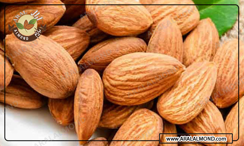 سفارش عمده مغز بادام درختی چهارمحال و بختیاری